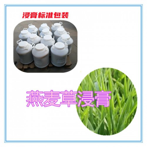 燕麦草提取物   燕麦草浸膏 燕麦草粉 燕麦草破壁粉