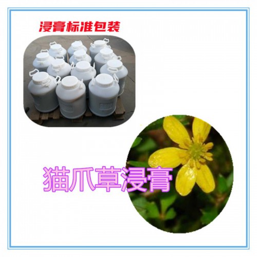 猫爪草提取物  猫爪草浸膏 猫爪草粉 猫爪草破壁粉