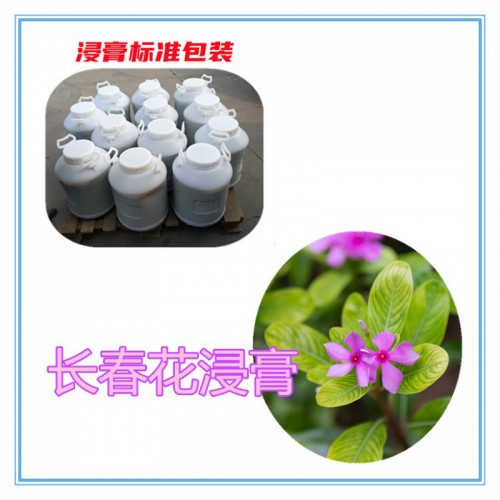 长春花提取物  长春花浸膏 长春花粉 长春花破壁粉