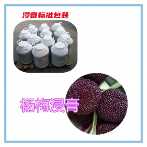 杨梅提取物  杨梅浸膏 杨梅粉 杨梅破壁粉
