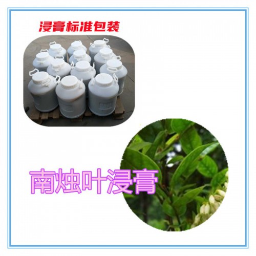 南烛叶提取物  南烛叶浸膏 南烛叶粉 南烛叶破壁粉