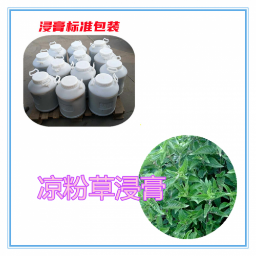 凉粉草提取物  凉粉草浸膏 凉粉草粉 凉粉草破壁粉