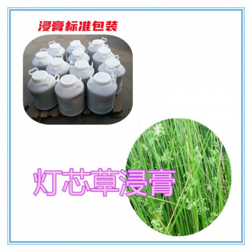 灯心草提取物  灯心草浸膏 灯心草粉 灯心草破壁粉