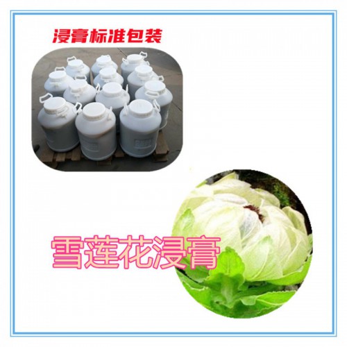 雪莲花提取物 雪莲花浸膏 雪莲花粉 雪莲花破壁粉