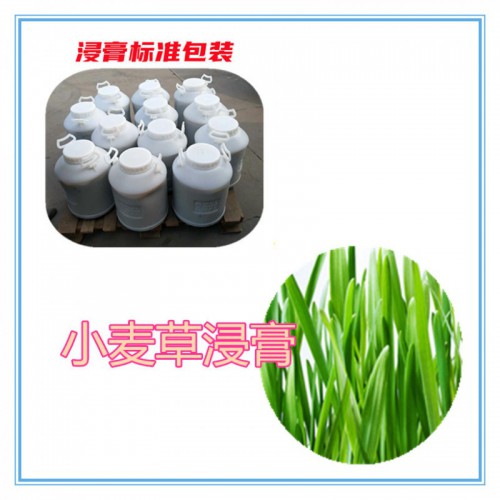 小麦草提取物 小麦草浸膏 小麦草粉 小麦草破壁粉