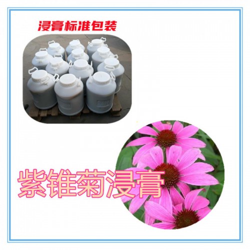 紫锥菊提取物 紫锥菊浸膏   紫锥菊粉 紫锥菊破壁粉