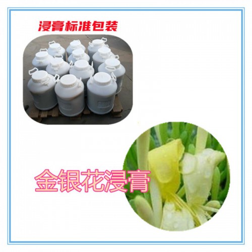 金银花提取物 金银花浸膏   金银花粉 金银花破壁粉