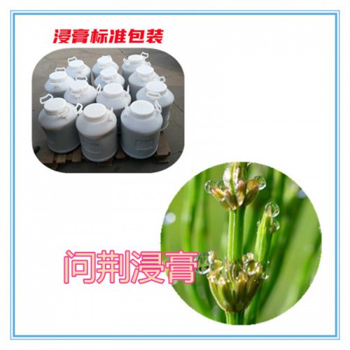 问荆提取物  问荆浸膏  问荆粉 问荆破壁粉