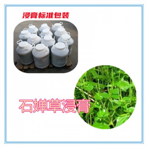 石蝉草提取物 石蝉草浸膏  石蝉草粉 石蝉草破壁粉