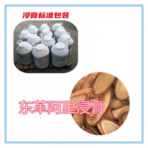 东革阿里提取物  东革阿里浸膏 东革阿里粉 东革阿里破壁粉