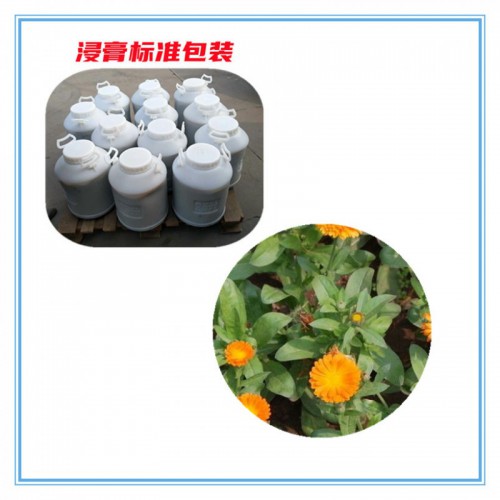 金盏花提取物  金盏花浸膏   金盏花粉 金盏花破壁粉