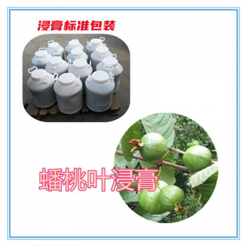 蟠桃叶提取物 蟠桃叶浸膏 蟠桃叶粉 蟠桃叶破壁粉