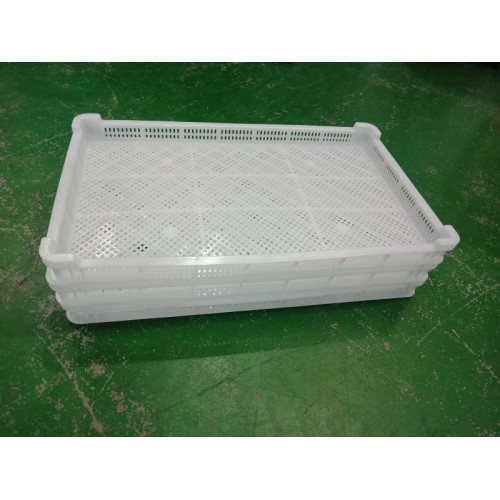 肉食品公司冷库冻盘