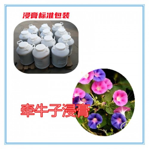 牵牛子提取物  牵牛子浸膏  牵牛子粉 牵牛子破壁粉