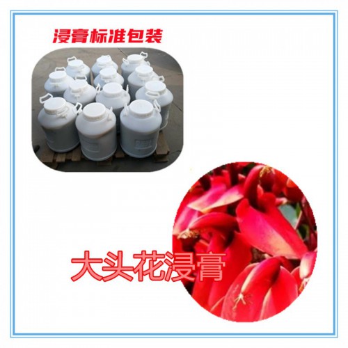 大头花提取物 大头花浸膏  大头花粉 大头花破壁粉