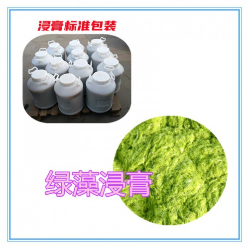 绿藻提取物 绿藻浸膏 绿藻粉 绿藻破壁粉