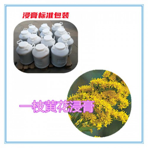 一枝黄花提取物 一枝黄花浸膏 一枝黄花粉 一枝黄花破壁粉