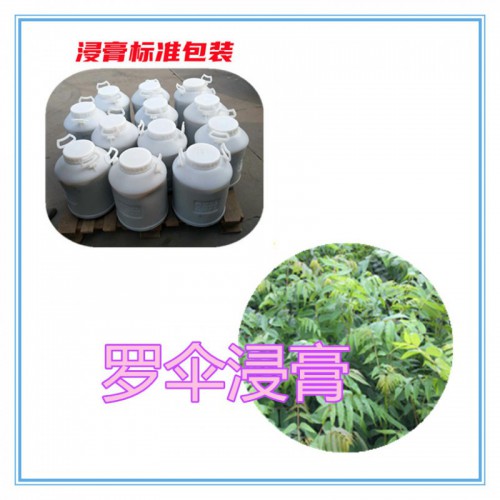 罗伞提取物 罗伞浸膏 罗伞粉  罗伞破壁粉