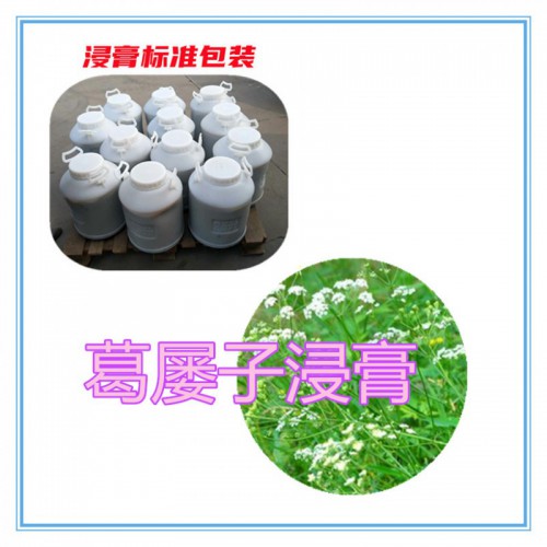 葛屡子提取物 葛屡子浸膏 葛屡子粉  葛屡子破壁粉