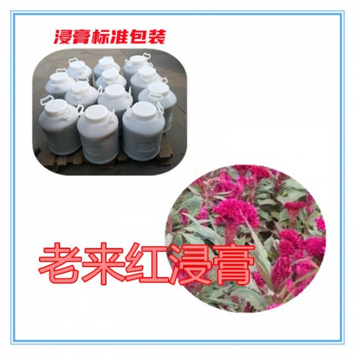 老来红提取物 老来红浸膏 老来红粉  老来红破壁粉