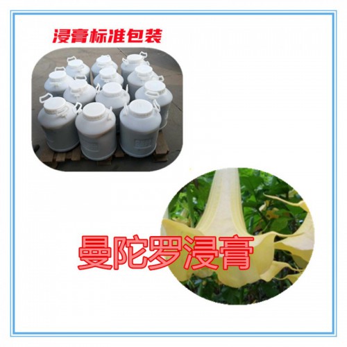 曼陀罗提取物 曼陀罗浸膏 曼陀罗粉  曼陀罗破壁粉