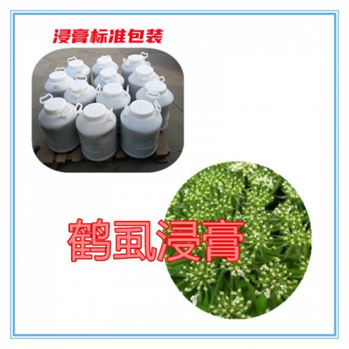 鹤虱提取物 鹤虱浸膏 鹤虱粉  鹤虱破壁粉