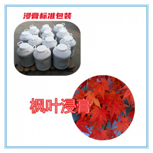 枫叶提取物 枫叶浸膏 枫叶粉 枫叶破壁粉