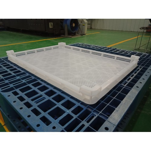 食品级长方塑料单冻盘 冷冻盘