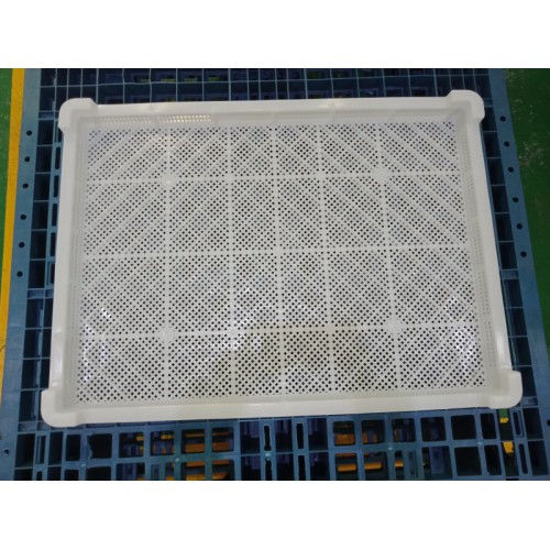 加厚白色食品塑料单冻盘 冷冻器