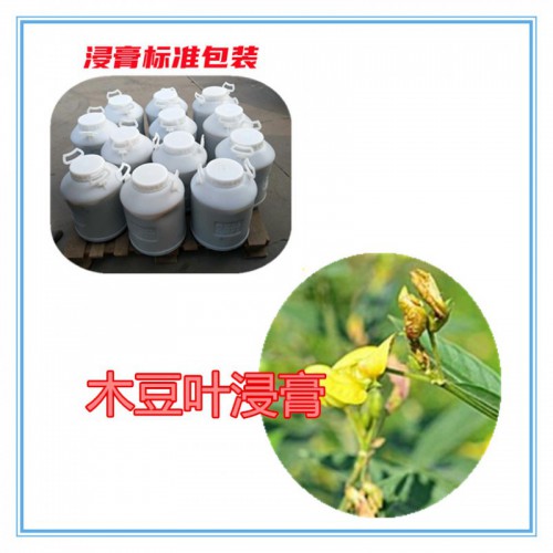 木豆叶提取物 木豆叶浸膏  木豆叶粉 木豆叶破壁粉