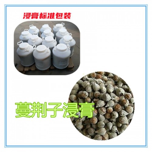 蔓荆子提取物 蔓荆子浸膏  蔓荆子粉 蔓荆子破壁粉