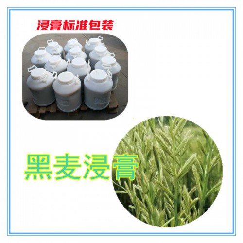 黑麦提取物 黑麦浸膏  黑麦粉 黑麦破壁粉