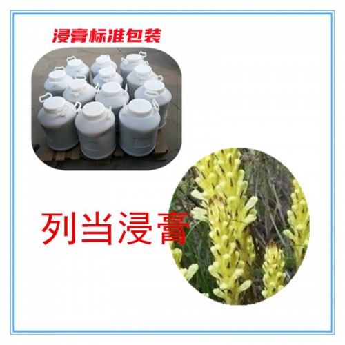 列当提取物 列当浸膏  列当粉 列当破壁粉