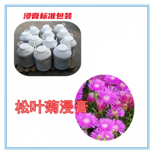 松叶菊提取物 松叶菊浸膏  松叶菊粉 松叶菊破壁粉