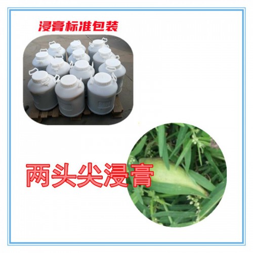 两头尖提取物 两头尖浸膏 两头尖粉 两头尖破壁粉