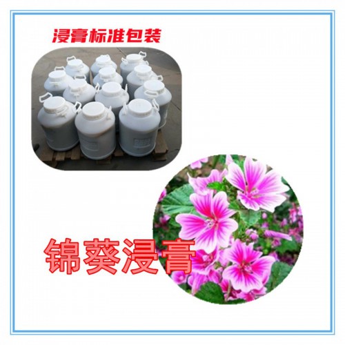 锦葵提取物 锦葵浸膏 锦葵粉 锦葵破壁粉
