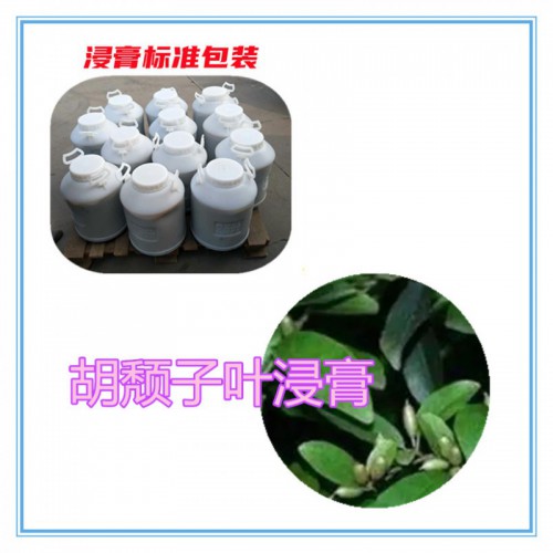 胡颓子叶提取物  胡颓子叶浸膏 胡颓子叶粉 胡颓子叶破壁粉