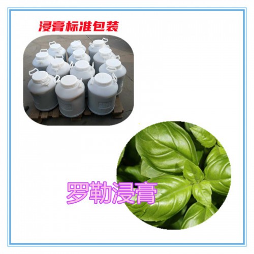 罗勒提取物 岩白菜浸膏 罗勒粉 罗勒破壁粉