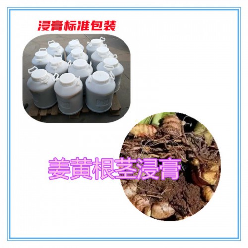 姜黄提取物 姜黄浸膏 姜黄粉 姜黄破壁粉