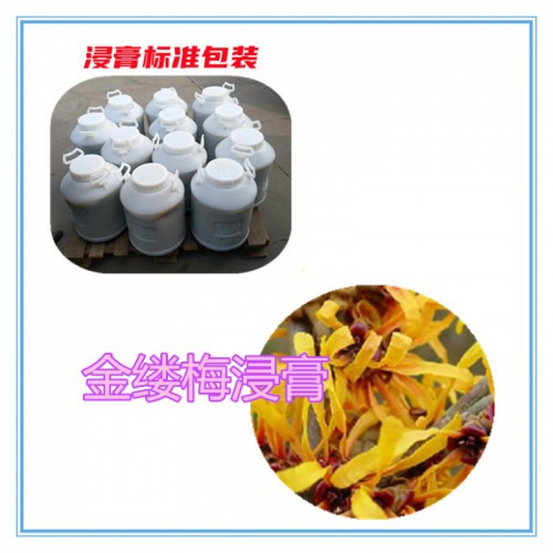 金缕梅提取物 金缕梅浸膏 金缕梅粉 金缕梅破壁粉
