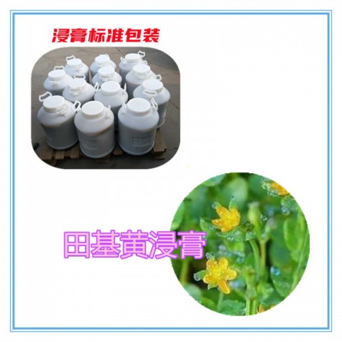 田基黄提取物 田基黄浸膏 田基黄粉 田基黄破壁粉