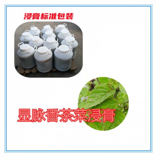 显脉香茶菜提取物 显脉香茶菜浸膏  显脉香茶菜破壁粉