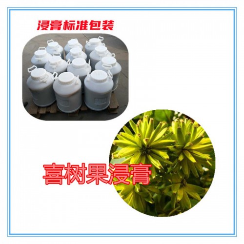 喜树果提取物 喜树果浸膏 喜树果粉 喜树果破壁粉