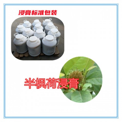 半枫荷粉  半枫荷提取物 半枫荷浸膏 半枫荷破壁粉