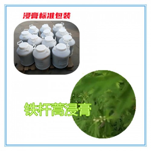 铁杆蒿提取物 铁杆蒿浸膏 铁杆蒿粉 铁杆蒿破壁粉
