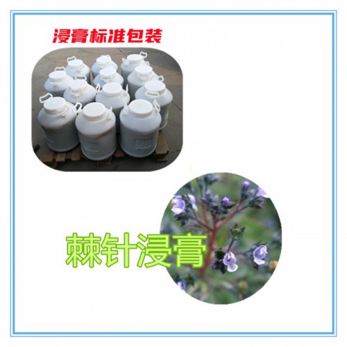 棘针提取物 棘针浸膏 棘针粉 棘针破壁粉