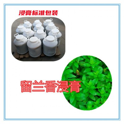 留兰香提取物  留兰香浸膏  留兰香粉 留兰香破壁粉