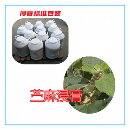 苎麻提取物 苎麻浸膏  苎麻粉 苎麻破壁粉