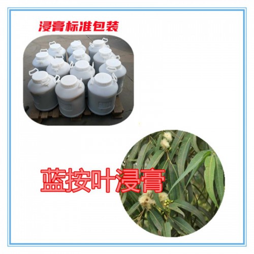 蓝按叶提取物 蓝按叶浸膏  蓝按叶粉 蓝按叶破壁粉