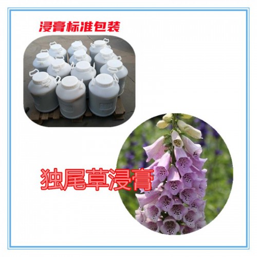 独尾草提取物  独尾草浸膏 独尾草粉 独尾草破壁粉